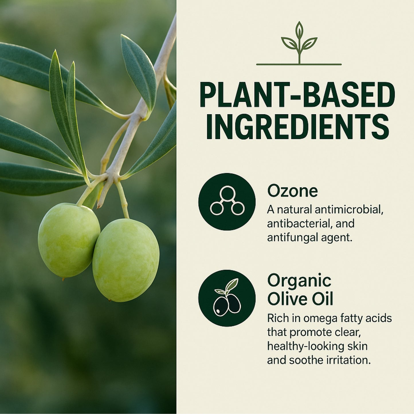 Green olives on a branch with plant-based ingredients text and icons.