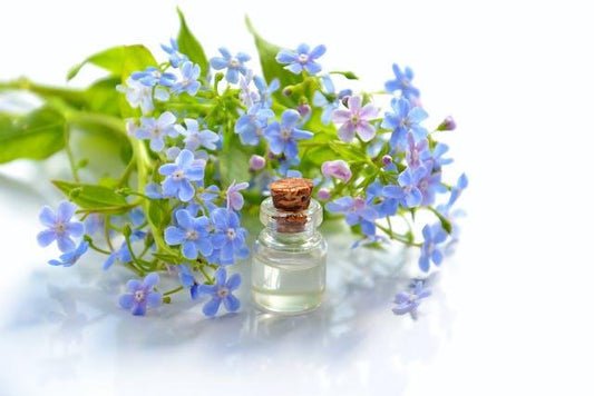 Unlock the Secrets of Essential Oils in Canada: Discover Natural Wellness and Beauty Today - Naturally Wyld