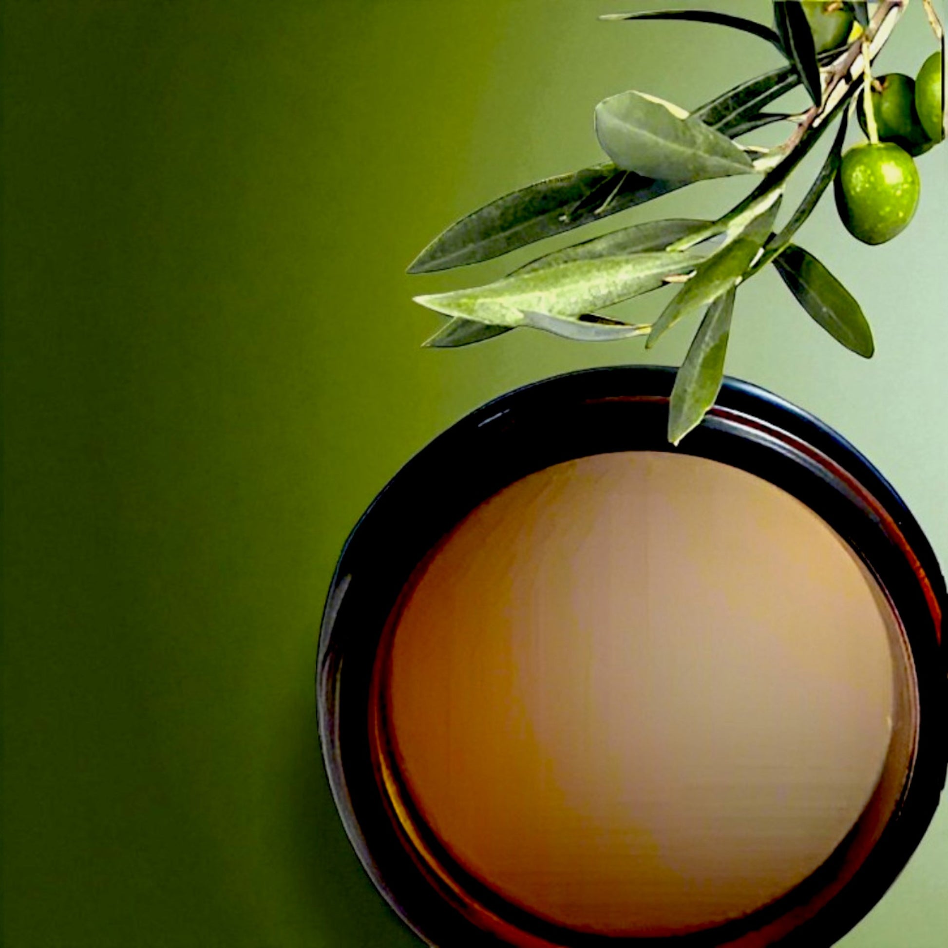 Jar of Ozonated olive oil with an olive branch on a green background
