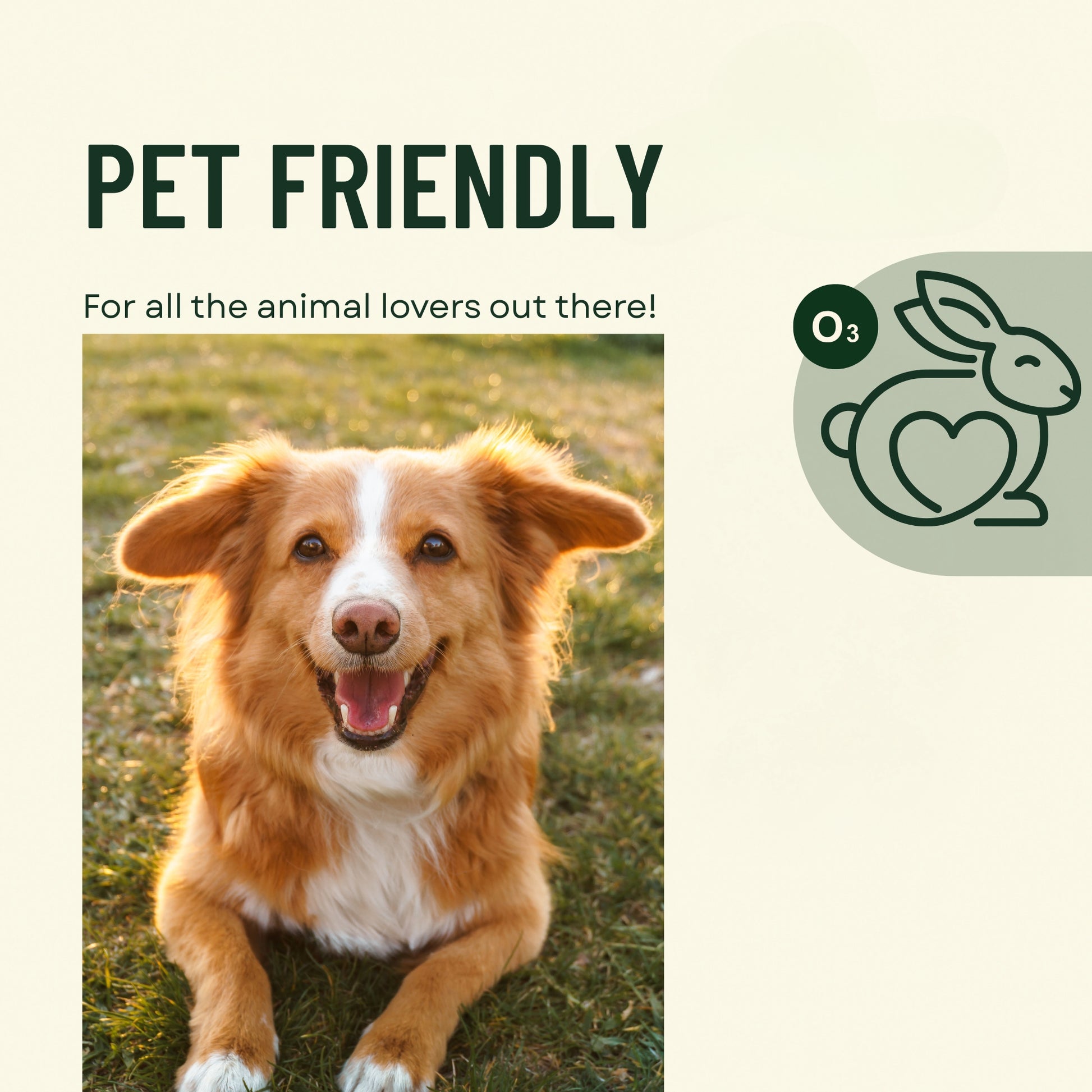 Happy dog sitting on grass with 'Pet Friendly' text and a logo in the corner.