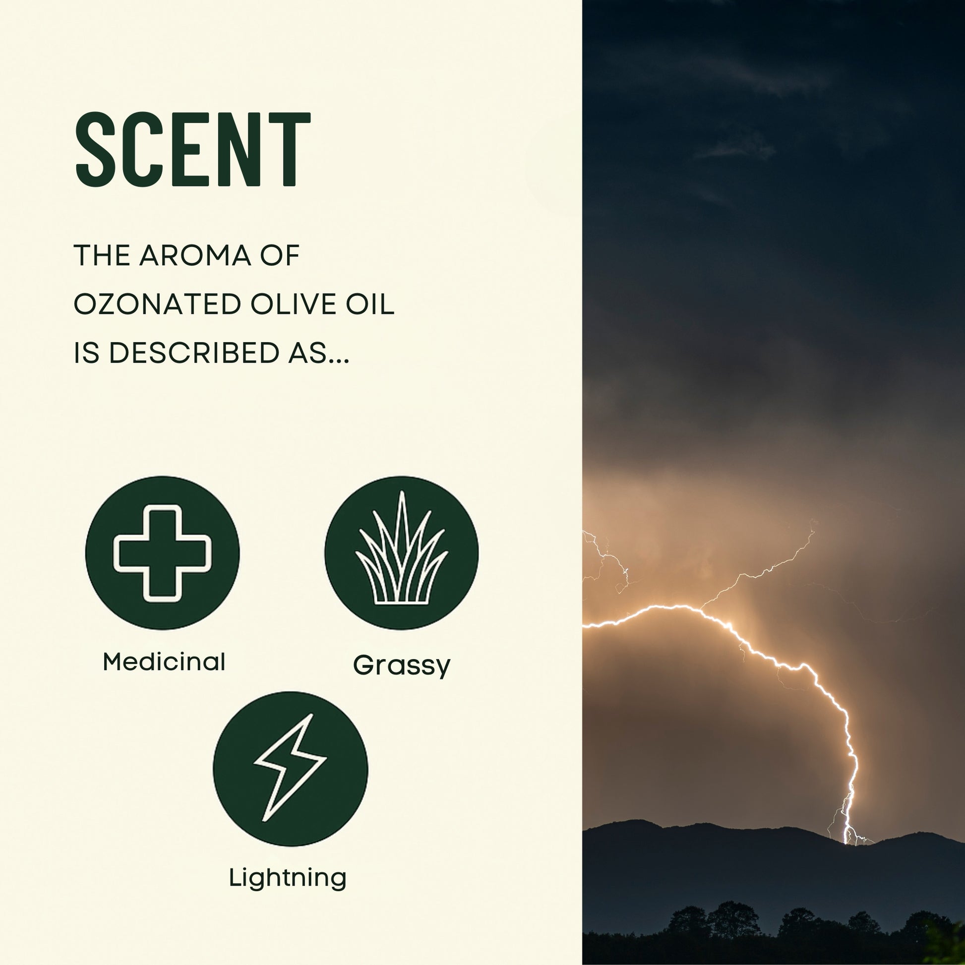 Scent description with olfactory icons and a lightning storm image.