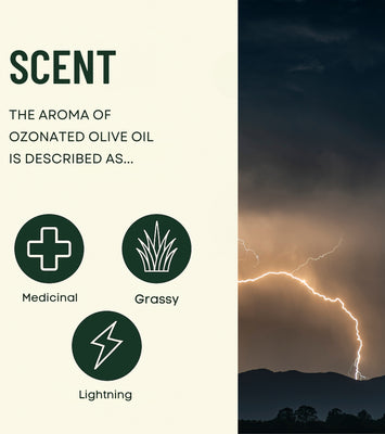 Scent description with olfactory icons and a lightning storm image.