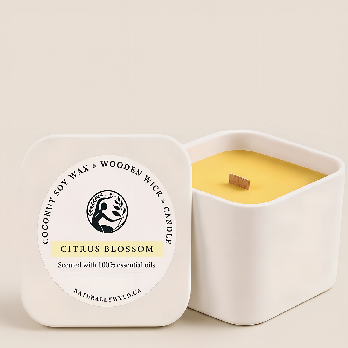 Citrus Blossom coconut soy wax wooden wick candle in 8oz white tin by Naturally Wyld